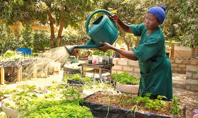 Sénégal