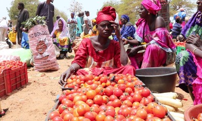 Sénégal