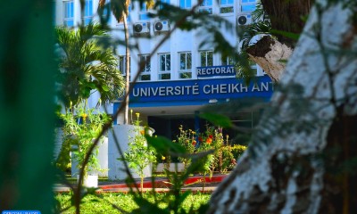 sénégalaise à Dubaï